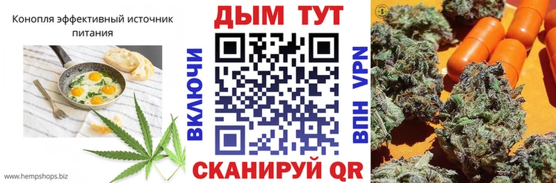 где купить наркоту  Сычёвка  Cannafood конопля 